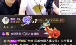 云儿哥哥爆料视频播放下载,独家播放下载攻略揭秘